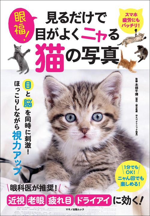 眼福！見るだけで目がよくニャる猫の写真 – 丸善ジュンク堂書店ネット