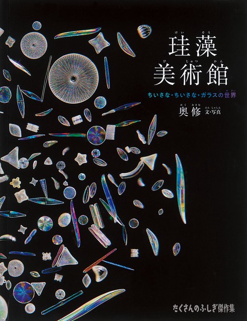 究極の美◼️蔵から美しい色合いの花鉢と思われる器が出て来ました。 No.7 陶箱 小 / Ornamental box, Sometsuke | しぶや黒田陶苑