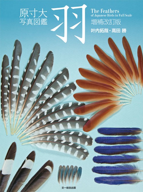 羽 : 原寸大写真図鑑(中古) 羽: 原寸大写真図鑑 | 高田 勝, 叶内 拓哉 |本 | 通販 | Amazon