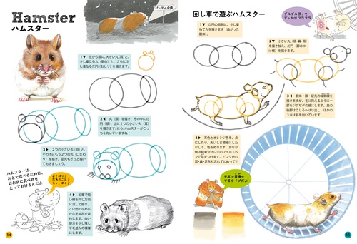 ジェニファー・ベルのたのしい動物の描き方 – 丸善ジュンク堂書店