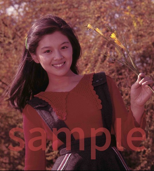 林寛子 トレジャーBOX – 丸善ジュンク堂書店ネットストア