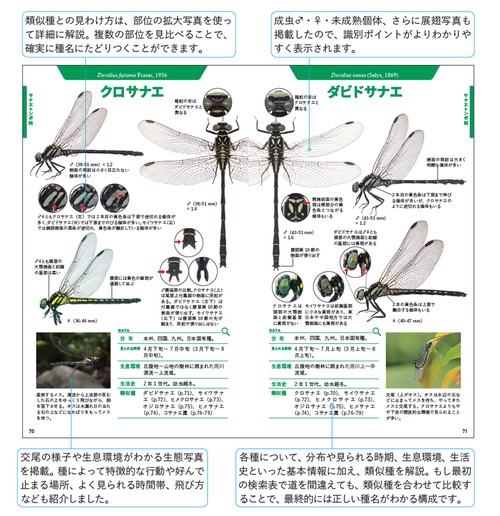 トンボハンドブック – 丸善ジュンク堂書店ネットストア