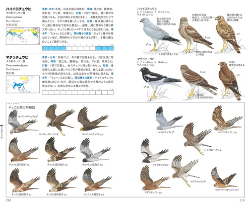 日本の野鳥図鑑等計5冊セット フィールド図鑑 日本の野鳥 第2版 – 丸善ジュンク堂書店ネットストア