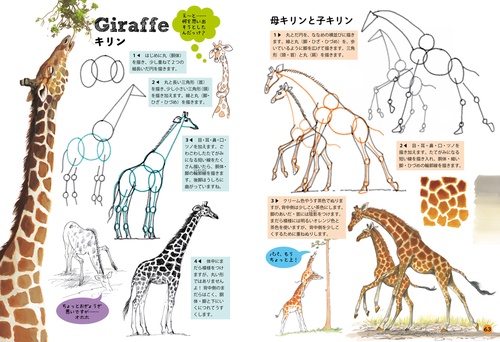 ジェニファー・ベルのたのしい動物の描き方 – 丸善ジュンク堂書店