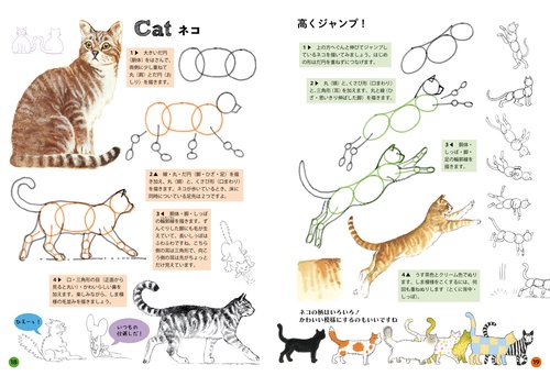 ジェニファー・ベルのたのしい動物の描き方 – 丸善ジュンク堂書店