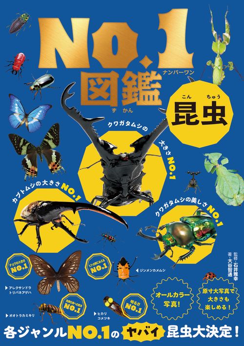 昆虫No．1図鑑 – 丸善ジュンク堂書店ネットストア