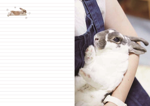 うさぎのきもち手帳2024 – 丸善ジュンク堂書店ネットストア