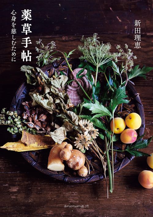 薬草ガーデン講座 テキスト全1～6冊セット 薬草ガーデン講座 全6冊セット＋協会誌1冊 【公式通販】