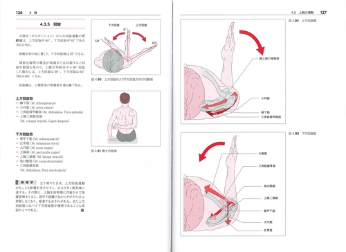 からだの構造と機能Ⅰ – 丸善ジュンク堂書店ネットストア
