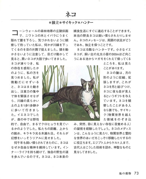 アニマルスピリットガイド – 丸善ジュンク堂書店ネットストア