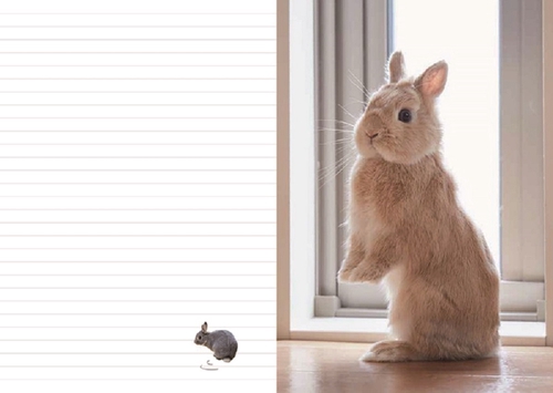 うさぎのきもち手帳2024 – 丸善ジュンク堂書店ネットストア