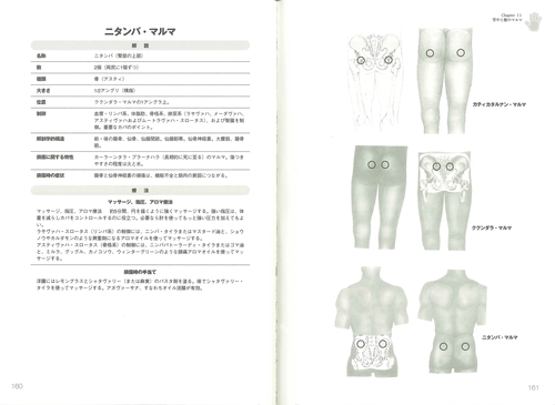 改訂 アーユルヴェーダとマルマ療法 – 丸善ジュンク堂書店ネット