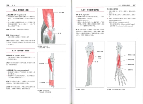からだの構造と機能Ⅰ – 丸善ジュンク堂書店ネットストア
