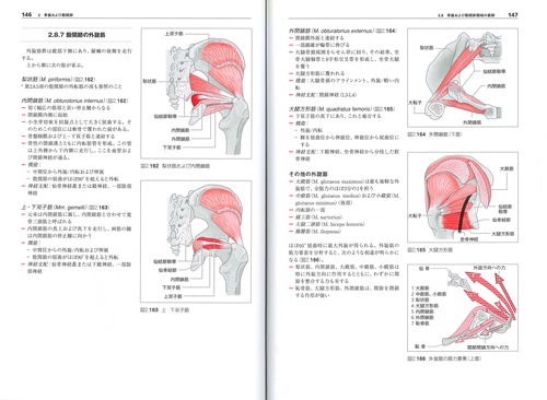 からだの構造と機能Ⅱ – 丸善ジュンク堂書店ネットストア