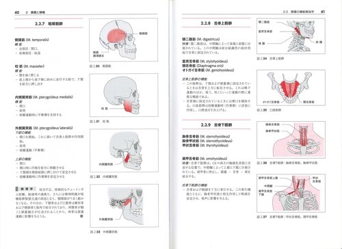 からだの構造と機能Ⅰ – 丸善ジュンク堂書店ネットストア