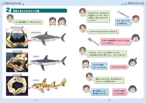 どっちがいいの？ ヒトの歯・サメの歯 – 丸善ジュンク堂書店ネットストア