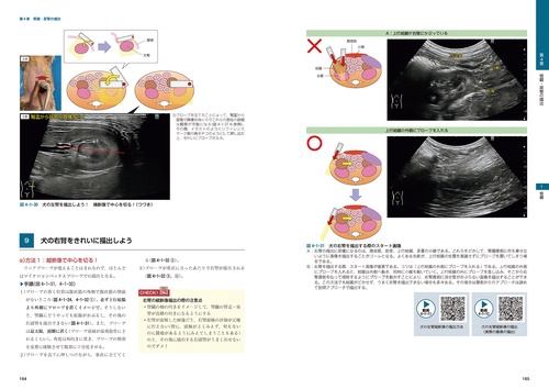 ビジュアルと動画でわかる！ 犬と猫の腹部超音波の描出レッスン 上巻
