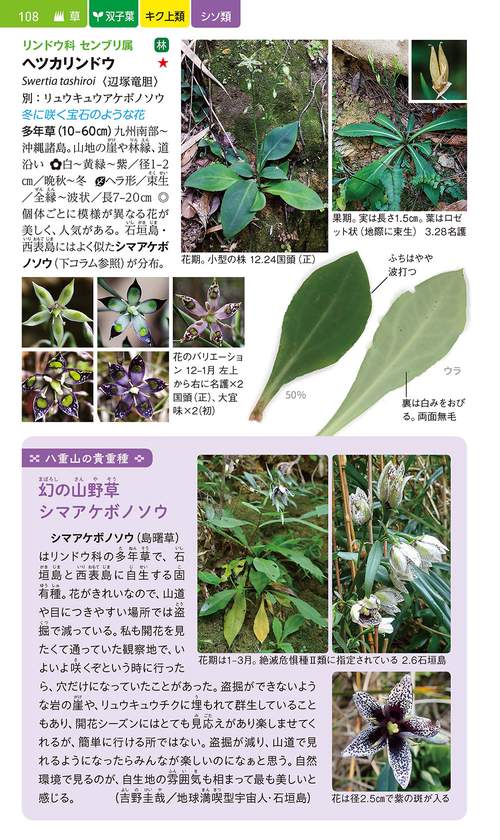 沖縄の身近な植物図鑑 – 丸善ジュンク堂書店ネットストア