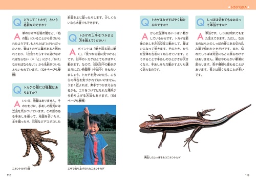 日本のいきものビジュアルガイド はっけん！ トカゲ – 丸善ジュンク堂
