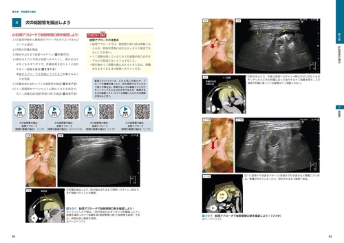 ビジュアルと動画でわかる！ 犬と猫の腹部超音波の描出レッスン 上巻