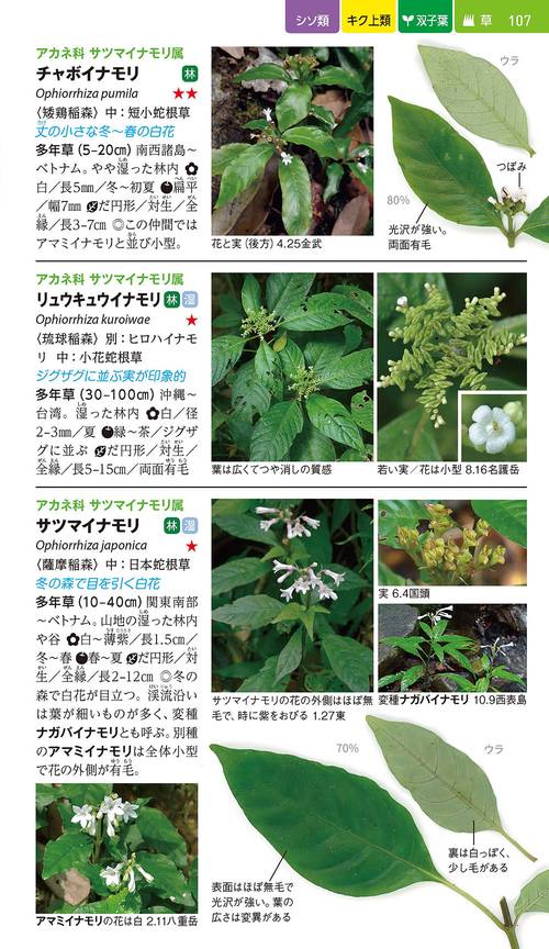 沖縄の身近な植物図鑑 – 丸善ジュンク堂書店ネットストア