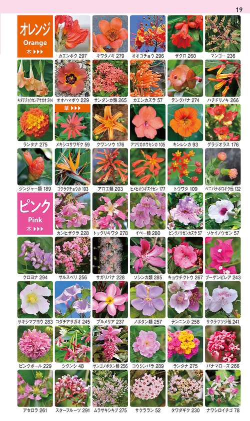 原色牧野植物大圖鑑 離弁花・単子葉植物編 原色牧野植物大