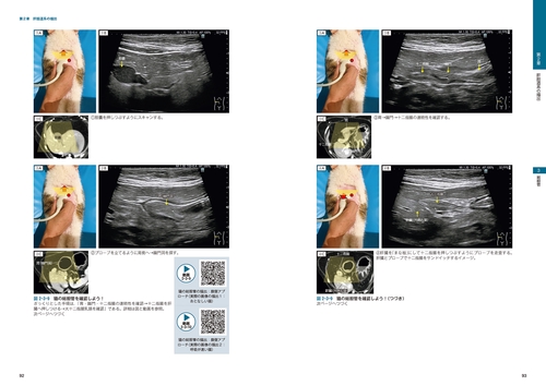 ビジュアルと動画でわかる！ 犬と猫の腹部超音波の描出レッスン 上巻
