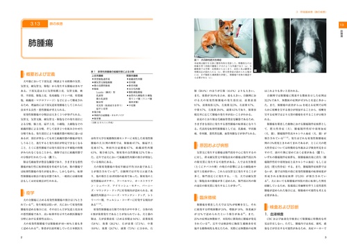犬の内科診療 Part 1 – 丸善ジュンク堂書店ネットストア