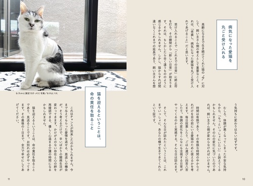猫の介護ハンドブック 〜気持ちに寄り添う緩和ケア・ターミナルケア