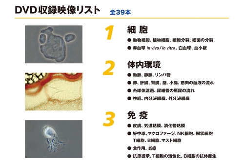 eミクロ 高校生物基礎 高校生物 – 丸善ジュンク堂書店ネットストア