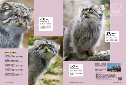 マヌルネコ 15の秘密 – 丸善ジュンク堂書店ネットストア