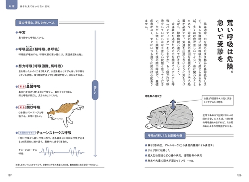 猫の介護ハンドブック 〜気持ちに寄り添う緩和ケア・ターミナルケア