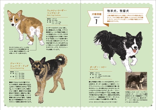 教養としての犬 思わず人に話したくなる犬知識130 – 丸善ジュンク堂