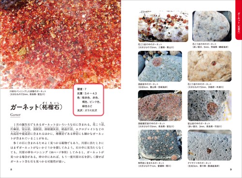 ひとりで探せる川原や海辺のきれいな石の図鑑 改訂版 – 丸善ジュンク堂