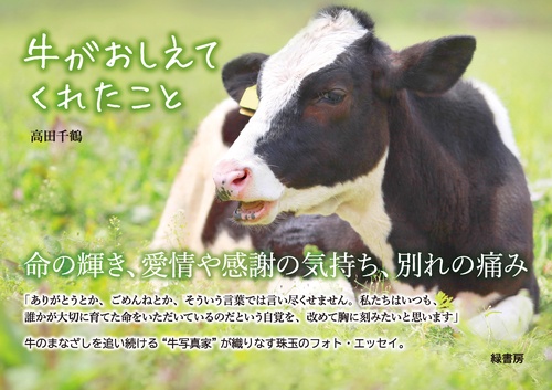 う*️様 メロジョイ　ノントースト　牛 mellojoy ノントースト ふわふわミルク 牛 こ*い様 mellojoy