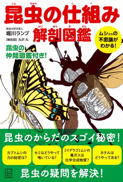 昆虫の仕組み 解剖図鑑 ムシたちの不思議がわかる！ – 丸善ジュンク堂