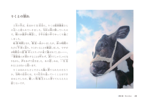 牛がおしえてくれたこと – 丸善ジュンク堂書店ネットストア