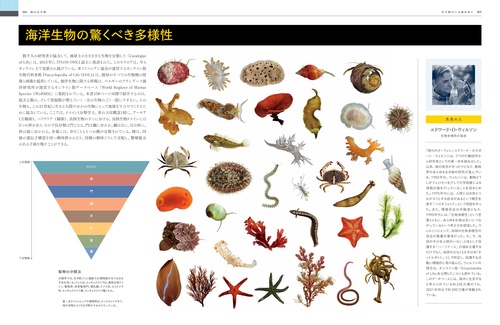 OCEAN ビジュアル海大図鑑 – 丸善ジュンク堂書店ネットストア