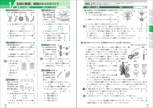 中1範囲の5科の力が実戦レベルまで伸びる問題集 – 丸善ジュンク堂