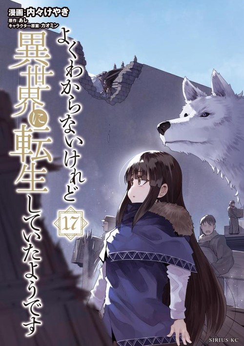 よくわからないけれど異世界に転生していたようです（17