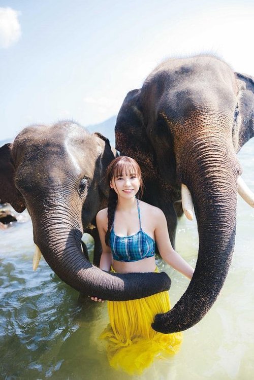 NMB48本郷柚巴 卒業記念写真集 どこを見ればいい？ – 丸善