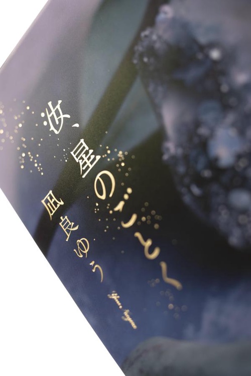 汝、星のごとく – 丸善ジュンク堂書店ネットストア