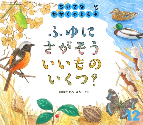 福音館書店　ちいさなかがくのとも　12ヶ月✖️2年➕1冊 ちいさなかがくのとも 2022年2月号 (発売日2021年12月21日