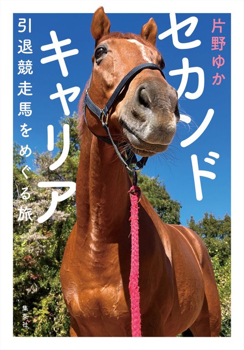 セカンドキャリア 引退競走馬をめぐる旅 – 丸善ジュンク堂書店ネットストア