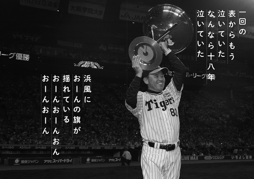 阪神タイガース　優勝記念　バラ売り不可 jambalaya_24ht-14