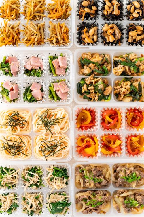 ホントに朝ラクべんとう300 : 冷凍&冷蔵おかずを作りおきして! ホントに朝ラクべんとう300―冷凍＆冷蔵おかずを作りおきして