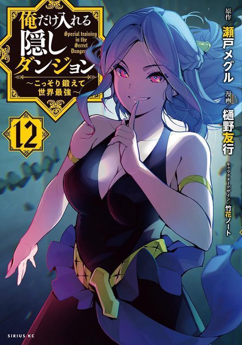 俺だけ入れる隠しダンジョン ～こっそり鍛えて世界最強～（12） – 丸善