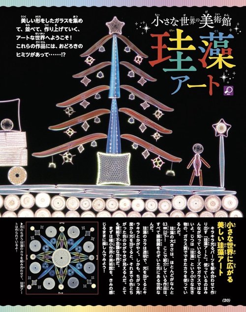 小学館スペシャル小学8年生 2024年 01月号 [雑誌] – 丸善
