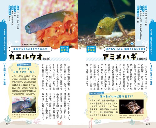 出会った魚がわかる図鑑 – 丸善ジュンク堂書店ネットストア