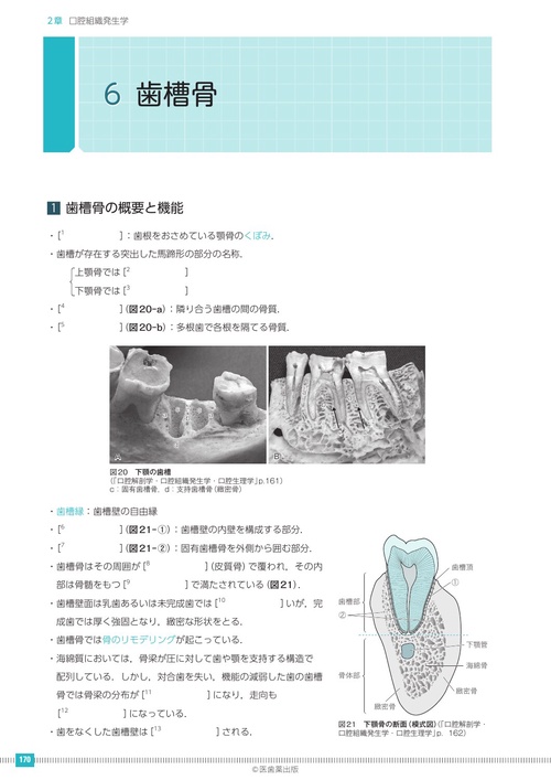 歯科衛生士書き込み式学習ノート① 専門基礎科目編 2024年度 – 丸善